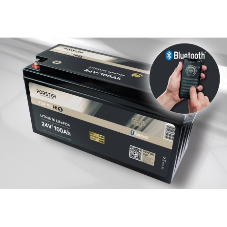Batteria LiFePO4 100Ah 25,6V - Forster Standard