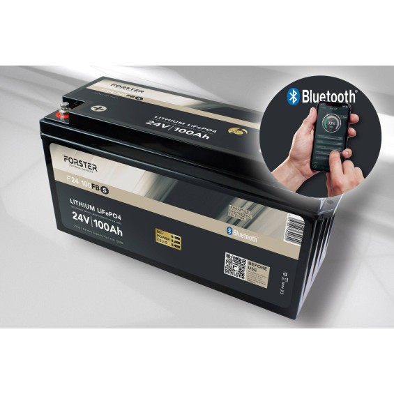 Batteria LiFePO4 100Ah 25,6V - Forster Standard