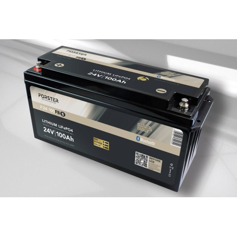 Batteria LiFePO4 100Ah 25,6V - Forster Standard