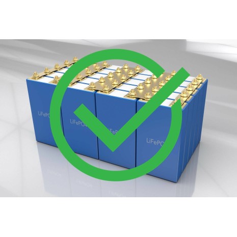 Batteria LiFePO4 100Ah 25,6V - Forster Standard