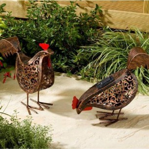 Galline a energia solare