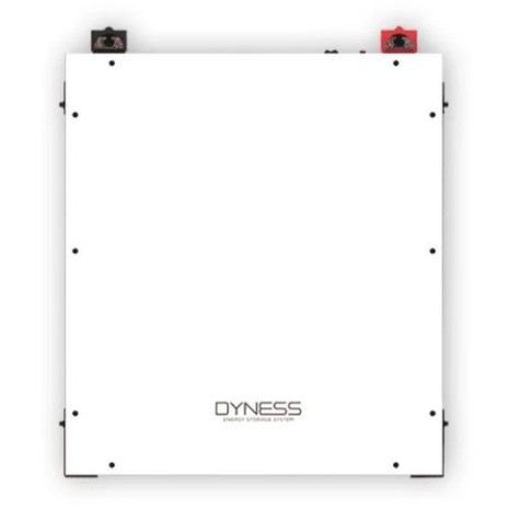 Batteria 4,8kWh/48V Dyness LiFePo4 modulabile A48100