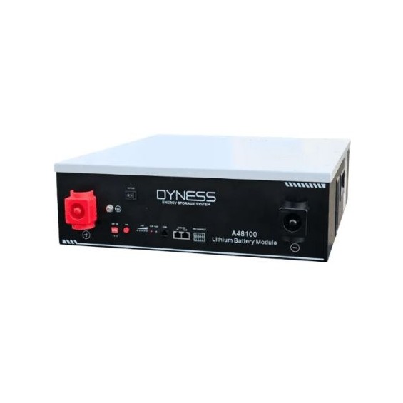 Batteria 4,8kWh/48V Dyness LiFePo4 modulabile A48100