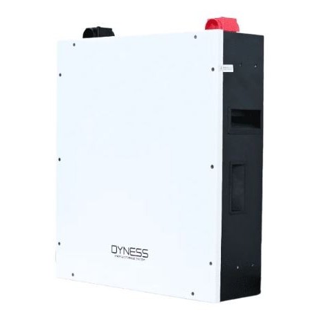 Batteria 4,8kWh/48V Dyness LiFePo4 modulabile A48100