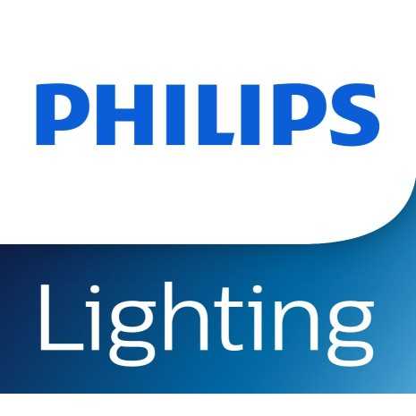 PHILIPS LIGHTING - Proiettore Ledinaire Solar 1820 lm, 13 W, 4000 K, IR remoto, IP65