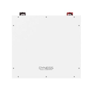 Batteria 5,12kWh/51,2V Dyness al Litio LiFePo4 modulabile DL5.0C