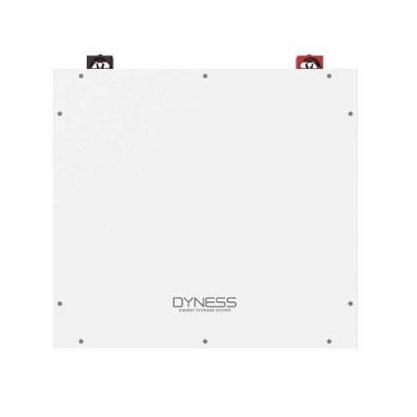 Batteria 5,12kWh/51,2V Dyness al Litio LiFePo4 modulabile DL5.0C
