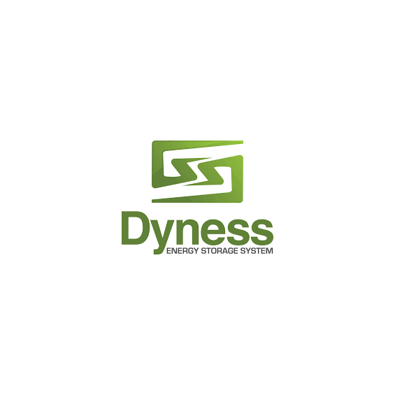 Batteria 5,12kWh/51,2V Dyness al Litio LiFePo4 modulabile DL5.0C