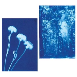 Sunprint: kit 12 fogli Fotosensibili