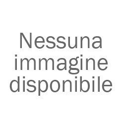 Fronius Primo GEN24 6.0 PLUS